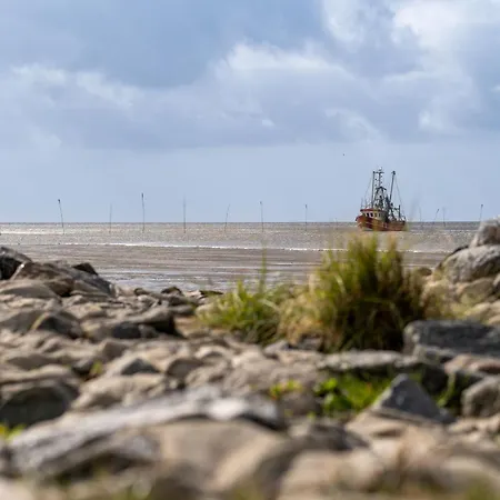 Wittsand 30 * ドルム・ノイフェルト