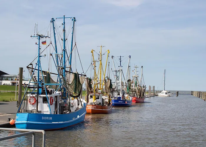 Wittsand 30 بيت للعطل *