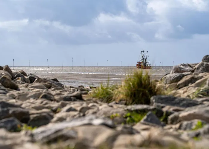 Wittsand 30 * دورم نيوفيلد