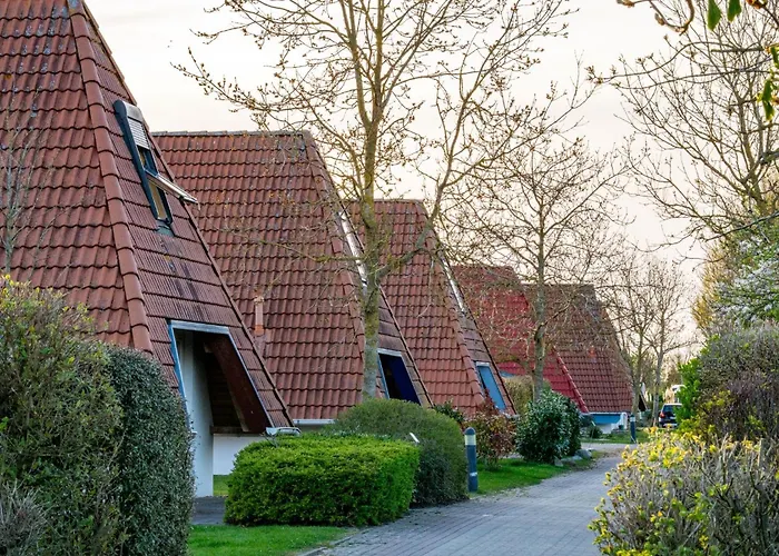 Wittsand 30 دورم نيوفيلد